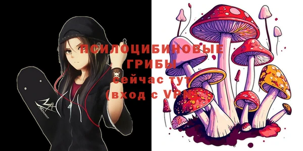 молекула духа Каменка