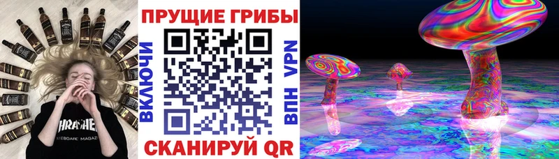 Псилоцибиновые грибы прущие грибы  продажа наркотиков  Плёс 